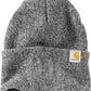 Carhartt Watch Cap 2.0