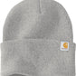 Carhartt Watch Cap 2.0